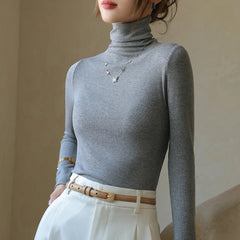 Stylischer Rollkragenpullover
