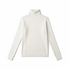 Stylischer Rollkragenpullover