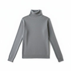 Stylischer Rollkragenpullover
